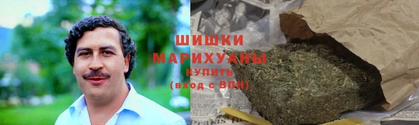 мдпв Вяземский