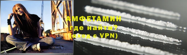 мдпв Вяземский