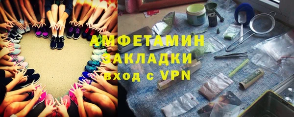 мдпв Вяземский