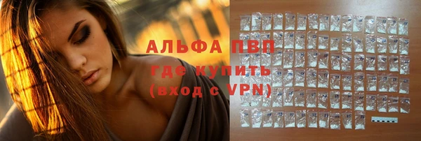 мдпв Вяземский