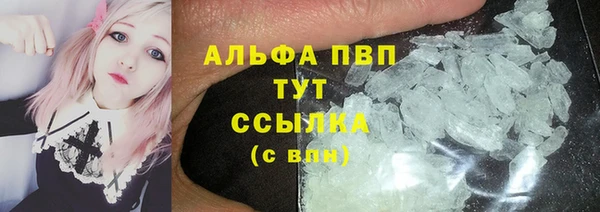 мдпв Вяземский