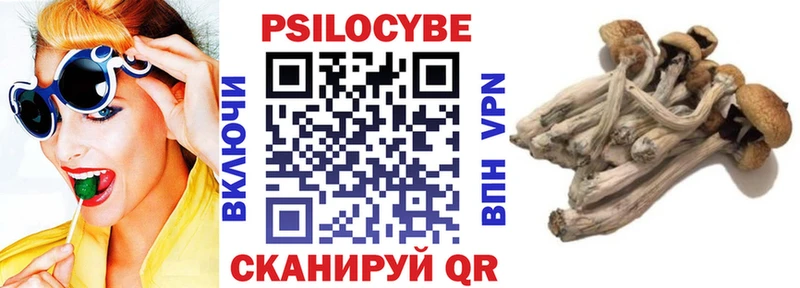 Галлюциногенные грибы Cubensis  мега как войти  Иваново 